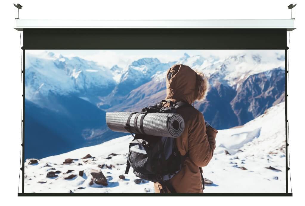 Ecran-IncBigLodoEvo-Screenline