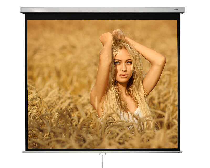 Ecran-proiectie-SRMD-1pe1-blackmount