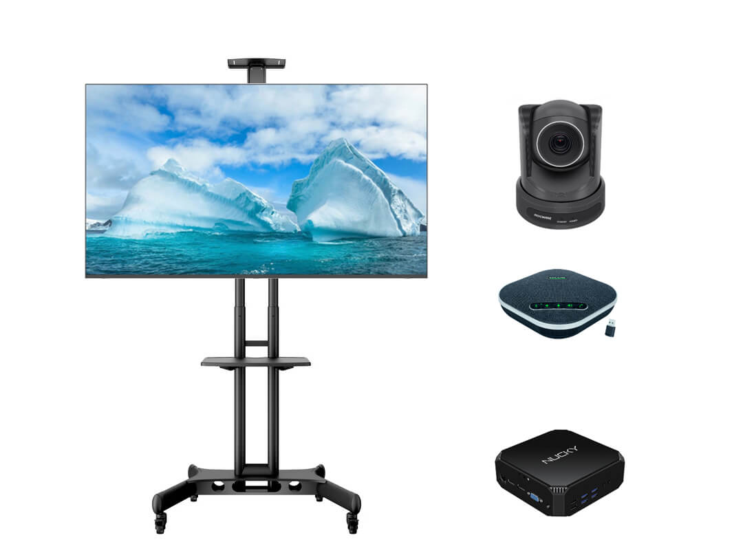 PAC-Videoconferinta-Swedx