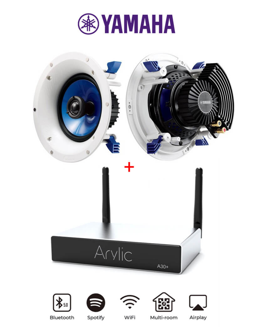 Pachet-A30-IC600-arylic